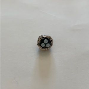 Chamilia Robins Near Charm